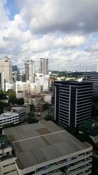 Rajah Tower (D12), Apartment #473866721